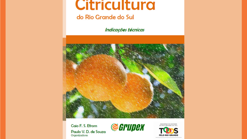 Livro está disponível gratuitamente em formato eletrônico