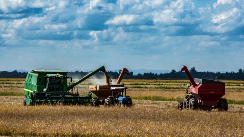 Até o momento, a produtividade média apresentada pelas lavouras é de 8.364 quilos por hectare