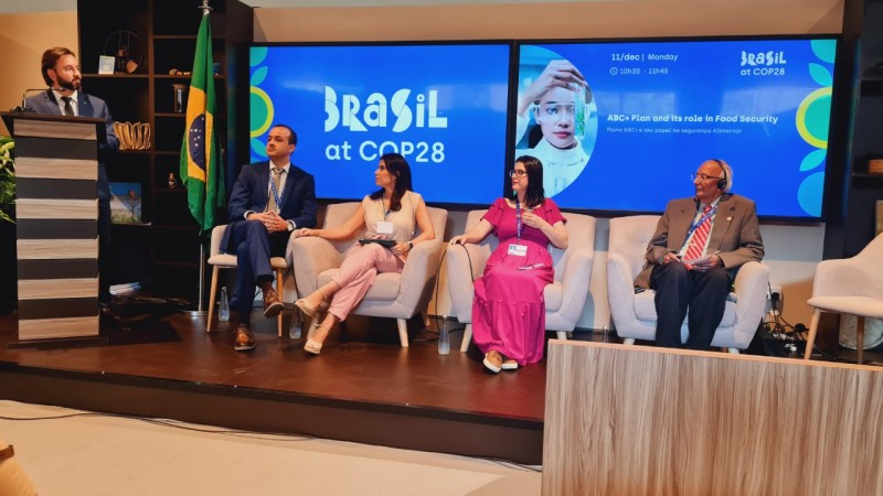 Painel “Papel do Plano ABC+ na segurança alimentar”, na COP 28, em Dubai