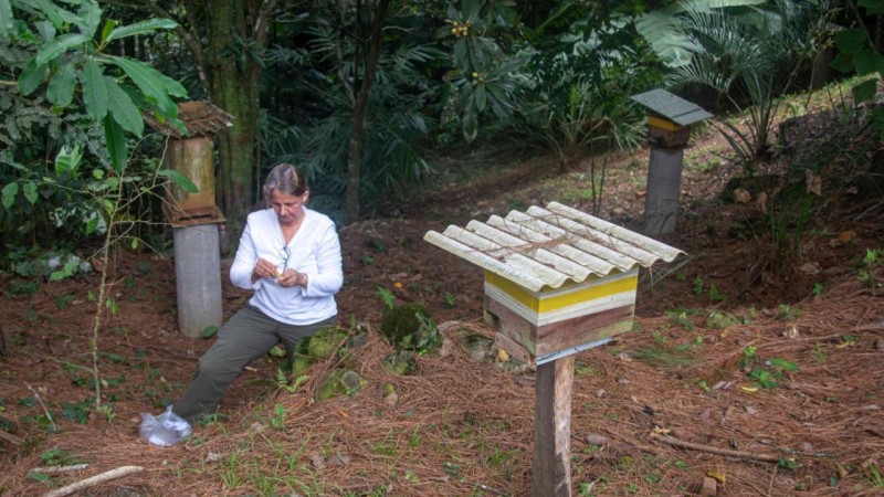 A pesquisadora Sidia Witter a campo, com experimentos em meliponicultura