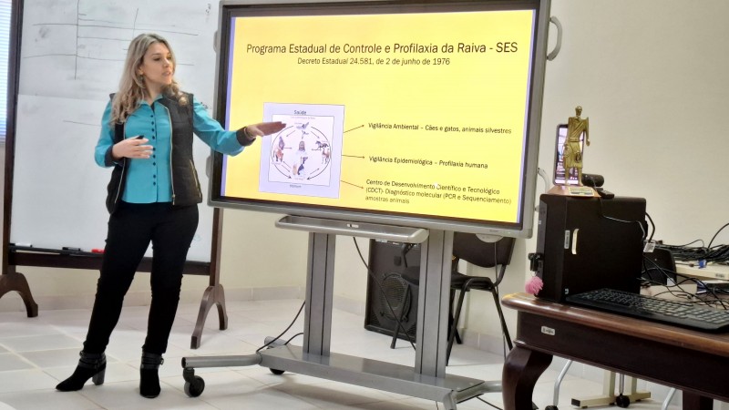 Gabriela Werlang falou sobre programa estadual de controle e profilaxia da raiva