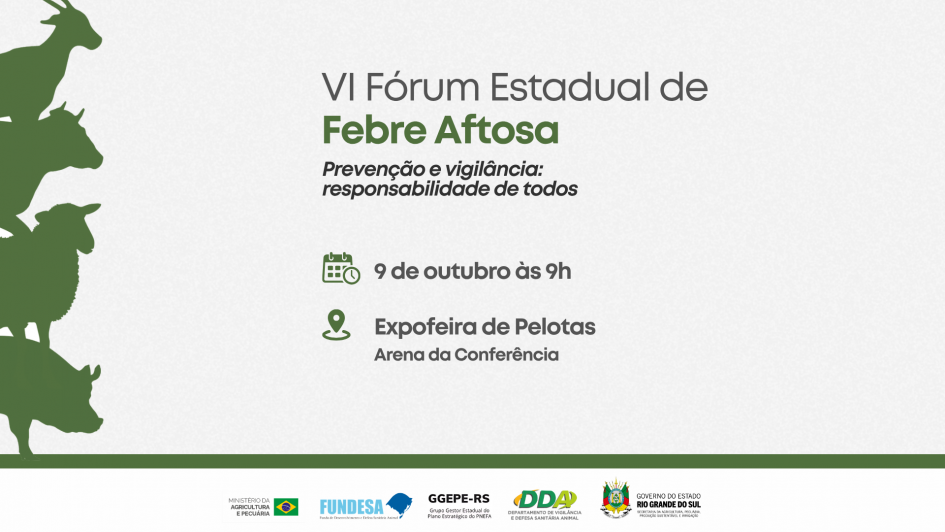 F&oacute;rum Influenza card site